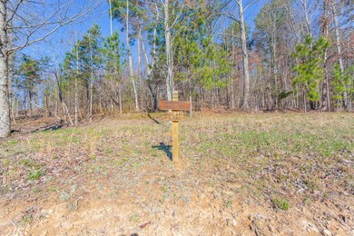 1755 River Bluffs Dr, Jasper, TN 37347 - photo 5