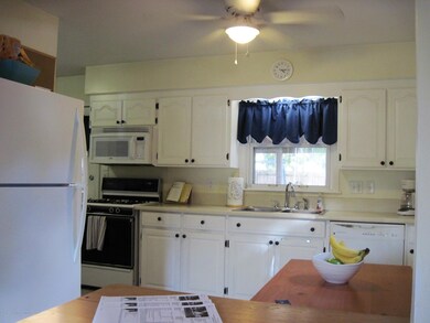 6009 Coulson Ct, Lansing, MI 48911 - photo 4