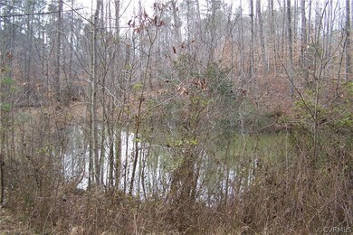 0 Phillips Ln unit 1701507, Prince George, VA 23860 - photo 4