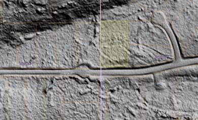 Bare Earth