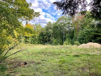 46 Farrington Rd, Gorham, ME 04038 - photo 2