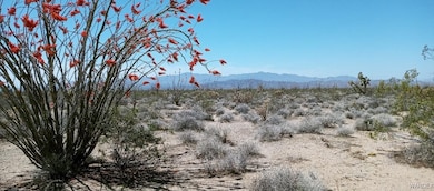 Parcel displays colorful desert vegetation