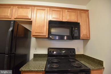 The Four Winds at Oakton unit 4-E11, Oakton, VA 22124 - photo 6