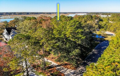 1484 Dupree Creek Ln, Mount Pleasant, SC 29429 - photo 7