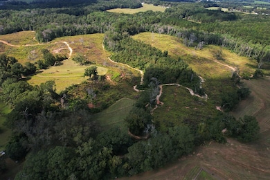 2085 County Road 3341, Brundidge, AL 36010 - photo 2