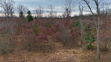 3728 N Custer Rd, Stronach, MI 49660 - photo 6