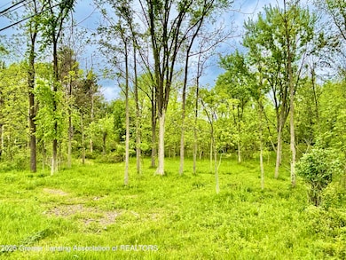 0 Lot C Willow, Lansing, MI 48917 - photo 2