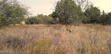 LOT 47 - 4875 E GERONIMO RD