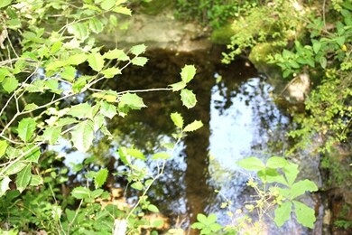 00 Old Station Rd, West Union, SC 29696 - photo 5