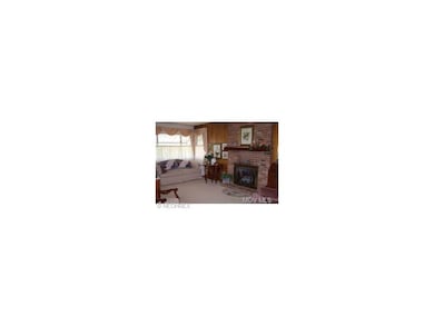 Gas Fireplace