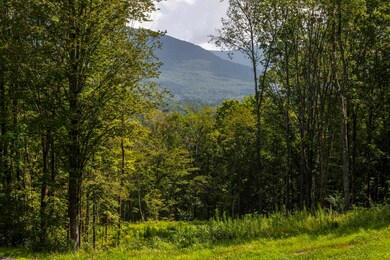 0 Foote Rd unit 5053891, Dorset, VT 05251 - photo 4