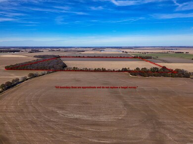 0 County Road 105, Hickory Ridge, AR 72347 - photo 6