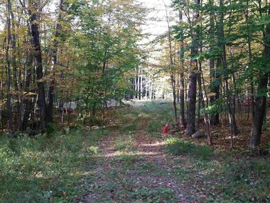 38 Lincoln Mountain Rd, Greenfield Center, NY 12833 - photo 2