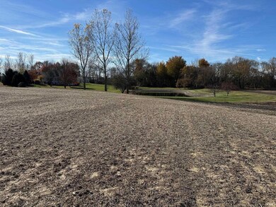 TBD Carroll Rd, Churubusco, IN 46723 - photo 5