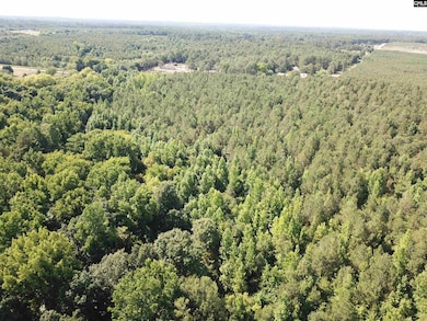 5051 Spring Hill Rd, Rembert, SC 29128 - photo 3