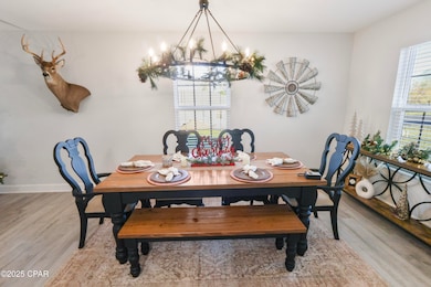 21369 NE Spring Hill Dr, Blountstown, FL 32424 - photo 7