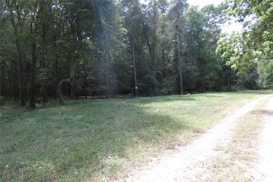 10.24 Acres Townley Ranch Rd, Dodge, TX 77320 - photo 5