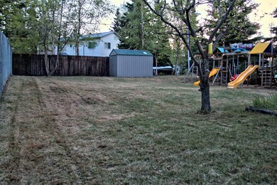 Backyard 1