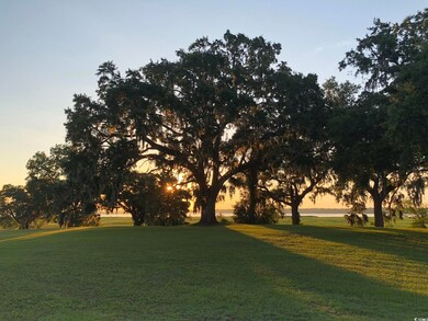 View of property's community with a yard