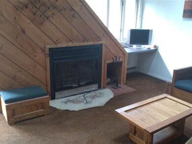 19 Mountain Brook Way unit 25, Waterville Valley, NH 03215 - photo 6