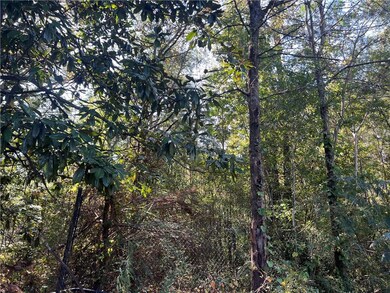 124 S Kelley St, Tallapoosa, GA 30176 - photo 6