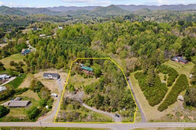 384 Turkey Creek Rd, Leicester, NC 28748 - photo 5