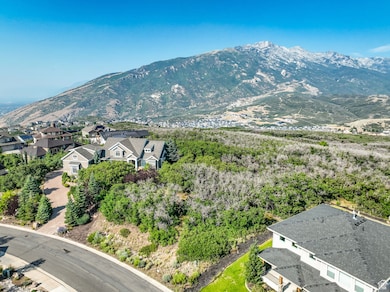View of mountain background featuring nearby suburban area