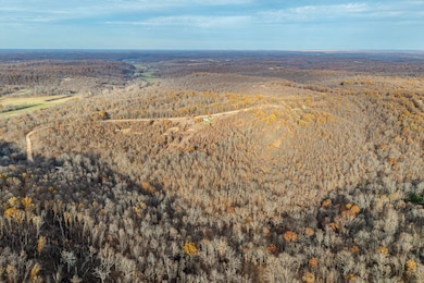 000 Winchester Ct, Tunas, MO 65764 - photo 7