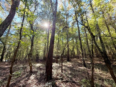 3355 Georgia 42, Forsyth, GA 31029 - photo 5