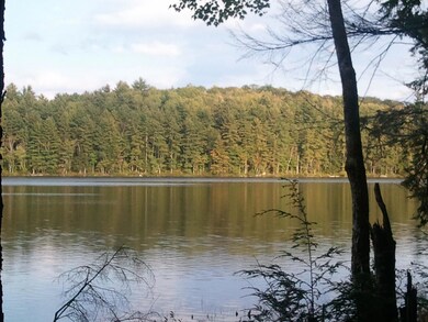 Water district pines