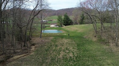 1459 Buck Lick Branch, Tollesboro, KY 41189 - photo 6
