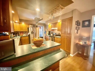 164 Treetop Ln, Berkeley Springs, WV 25411 - photo 5