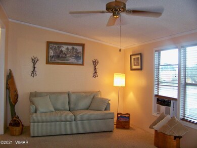 8770 Bruce Dr, Show Low, AZ 85901 - photo 4