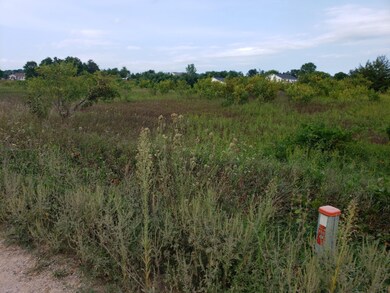 20200825_173221 (1)