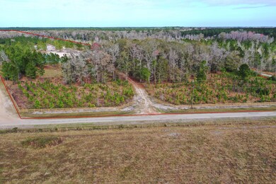 0 Countree Life Way unit 1034074, Callahan, FL 32011 - photo 5