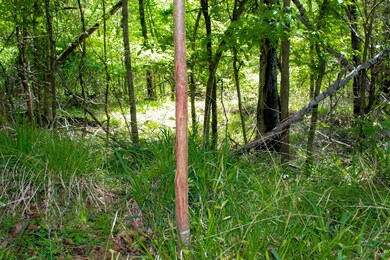 TBD S Highway 61, Vicksburg, MS 39180 - photo 3