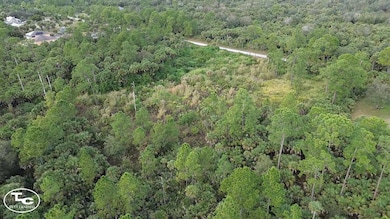 0 30th Ave SE unit 11613710, Naples, FL 34117 - photo 5