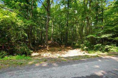 5 Cox Hollow Rd, Dover, TN 37058 - photo 5