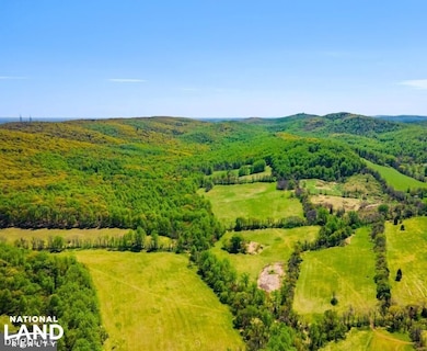 00 Bullrun Mountain Rd, The Plains, VA 20198 - photo 6