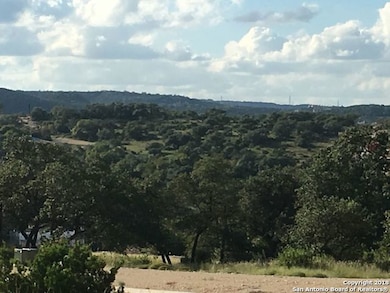 23210 Walker Ridge, San Antonio, TX 78255 - photo 4