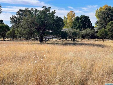 xx Himalaya Ct, Silver City, NM 88061 - photo 4