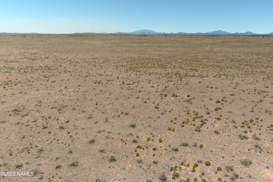 3750 S Prickly Pear Wash, Williams, AZ 86046 - photo 6