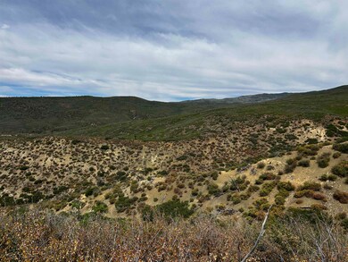 000 Currant Creek Rd, Cedaredge, CO 81413 - photo 2