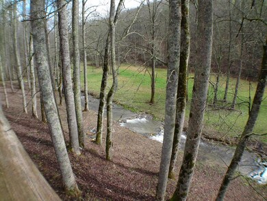 Bold Trout Stream