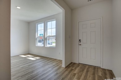 313 Jills Path, Seguin, TX NULL - photo 3