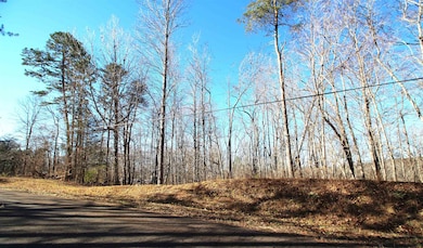 1559 Country Estates Rd, Inman, SC 28349 - photo 4