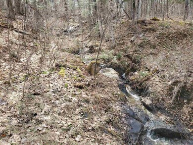 00 Warden Rd, Barnet, VT 05821 - photo 6