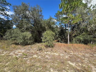 3341 W Wilhelm St, Citrus Springs, FL 34433 - photo 4