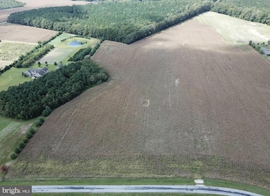 Lot 7 Lawson Rd, Georgetown, DE 19947 - photo 3