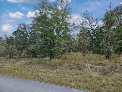 1281 SW Viburnum Rd, Dunnellon, FL 34431 - photo 6